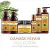 Saryna Key Damage Repair Styling Cream (300ml/10.14oz)