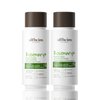 Alfheim Rosemary+ Purifying Shampoo & Conditioner Set | Rosemary & Peppermint Oil for Scalp Refresh & Oil Control | Jojoba & Calendula for Hydration & Shine | Sulfate-Free, Color-Safe | 10.7 oz Each