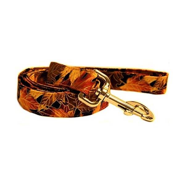 Autumn Leaves Dog Leash for Walking, Running and Training (Small)