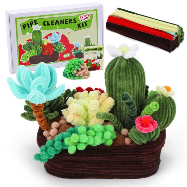 Craft Pipe Cleaners Set, Cactus Potting Material Package Include Pipe Cleaners,Pom Poms, Foam Balls, Suitable for Decorating Rooms Cars as Ornaments, Christmas and Birthday Present for Family Friends