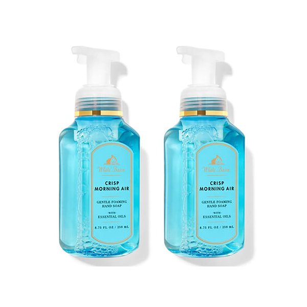 Bath and Body Works Gentle & Clean Foaming Hand Soap 8.75 Ounce 2-Pack (Crisp Morning Air)
