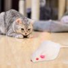 JTLB Cat Toy Mouse,Toy 12 Rabbit Fur Mice 14×10×4 12pcs Pet Cat Toy Small Plush Mouse Funny Cat Toy Fake Mouse for Kitten Cat