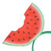 SEWACC Summer Watermelon Headband,Watermelon Design Headbands Hair Accessories Hair Hoops Head Boppers for Kids Women Costume Accessories Sunmmer Party Favor Adult