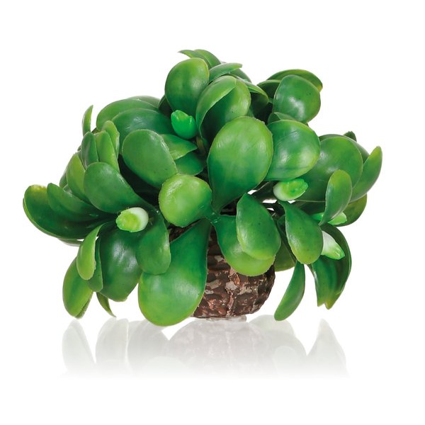 biOrb Mistletoe Ball