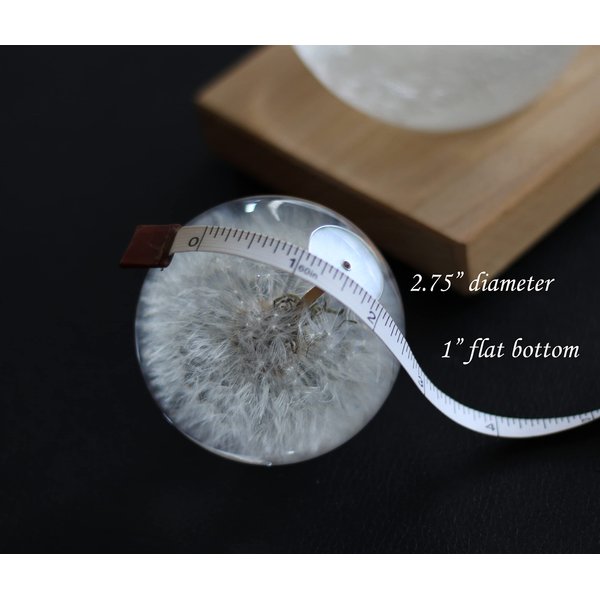 COREFLEX Real Dandelion Paperweight, Dandelion in Resin Ball in Gift Box, 2.75inch(70mm) Home Office Desktop Decor Decoration, Birthday, Wedding Gift and Valentine's Day