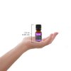Plantlife Inspire Aromatherapy Essential Oil Blend - Straight from The Plant 100% Pure Therapeutic Grade - No Additives or Fillers - Made in California 10 ml