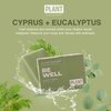 plant apothecary Eucalyptus Soap Bar - Be Well 5oz Scented, Vegan Soap with Shea Butter and Vitamin C for skin, moisturizer and anti-aging protection.