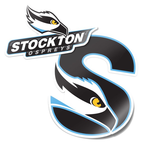 Desert Cactus Stockton University Stickers Ospreys Vinyl Decal Laptop Water Bottle Car Scrapbook11.42x8.94 (4 Inch Set V1)