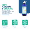 Dale Audrey Natural Oil Pulling for Teeth and Gums | Organic Mint Flavoured Oral Rinse Mouthwash for Bad Breath | Natural Essential Oils for Freshen Breath | Cobalt Glass Bottle wiith Refill | (16oz)