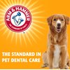 Arm & Hammer for Pets Advanced Care Dental Water Additive for Cats | Cat Teeth Cleaning Product for All Cats | Odorless and Flavorless Cat Dental Rinse, 8 Ounces