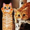 Cat Funny Hand Towels for Bathroom Kitchen - Cute Decorative Cat Decor Hanging Face Towels Super Absorbent Soft-Unique Valentines Day Mothers Day Housewarming Birthday Gifts for Women Cat Lovers