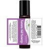 Plant Therapy Tummy Aid Essential Oil Blend Pre-Diluted Roll-On 10 mL (1/3 oz) 100% Pure, Therapeutic Grade