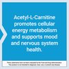 Life Extension Acetyl-L-Carnitine, Acetyl-L-Carnitine, vitamin C, Brain, mood & nerve health, cellular energy, 3-month supply, Gluten-Free, Non-GMO, Vegetarian, 100 Capsules