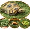 kathson 2pcs Reptile Carpet Terrarium Liner Tortoise Bedding Reptile Substrate Liner Mat Pet Cage Mats Supplies for Lizard Snake Bearded Dragon Gecko Chameleon Turtle Iguana (11.81 X 7.87 in)