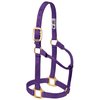 Weaver Leather Original Non-Adjustable Nylon Horse Halter, Small, Purple
