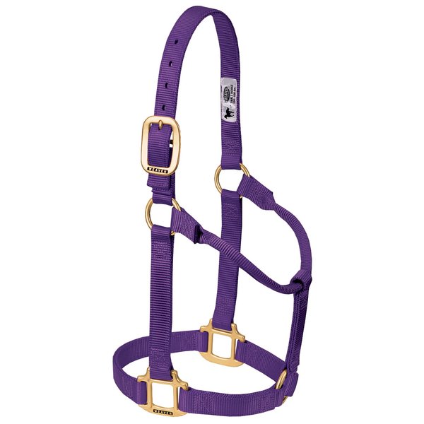 Weaver Leather Original Non-Adjustable Nylon Horse Halter, Small, Purple