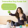 HIPPIH Dog Puzzle Toy 2 Pack, Interactive Dog Toys for Treat Dispensing, Durable Puppy Toys for Teething Small Dogs, Dog Treat Ball for Teeth/Slow Feeder/IQ Training/Playing