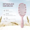 Ecoed Degradable Vented Hair brush,Detangling Brush,Detangler Brush for Curly, Thick, and Straight Hair, Dry and Wet Detangling Quickly Detangles and Smooths hair,Hair Brush for Women and Men