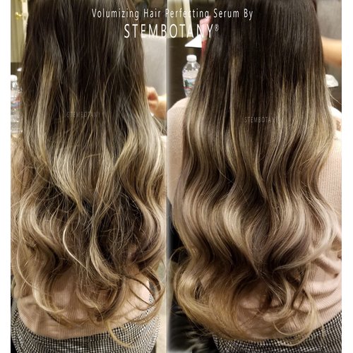 STEMBOTANY Stem Cell Activated Hair Perfecting Leave in Conditioner Serum with Recovery Complex: Best of Anti Frizz Control Hair Care Products