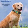 K9 Bytes Rainbow Tie Dye Bones & Paws Soft Adjustable Dog Collar with Quick Release Buckle Small.
