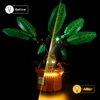 YEABRICKS LED Light for 76433 Harry Potter Mandrake Building Blocks Model (Building Set NOT Included)