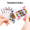 Teskyer 2 Decks of Waterproof Plastic Playing Cards with Different Back Patterns, Regular Print Poker Cards with Matte Finished Surface
