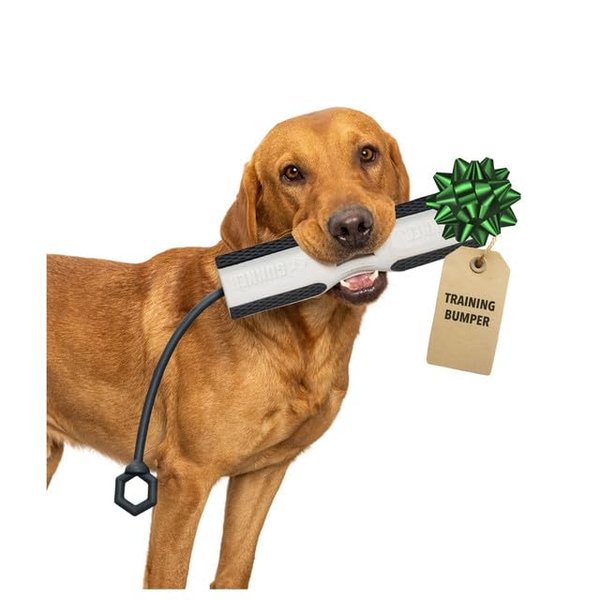 GUNNER Dog Training Bumper - Dog Retriever Training Dummy, Retrieving Dummies for Dogs, Dog Bumpers for Water Retrieving with Adjustable Rope (Flasher)