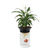 Penn-Plax (APON1) Aquaponic Planter and Aquarium for Betta Fish Tank Promotes Healthy Hydroponic Environment for Plants and Fish