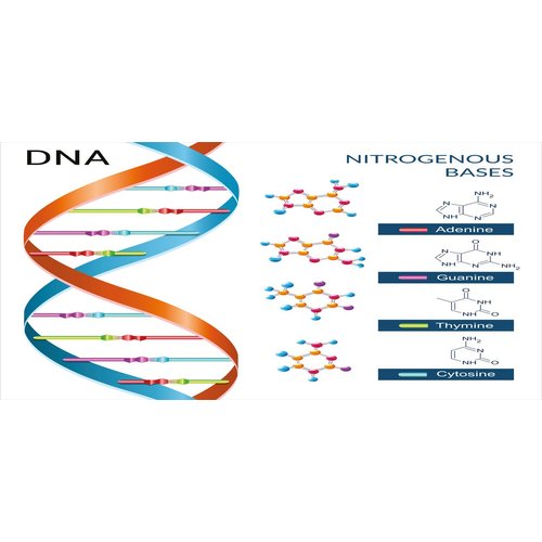 Ambesonne Science Pencil Pen Holder, DNA Bases Chemistry Biochemistry Biotechnology Science Spiral Genetic, Ceramic Pencil Holder for Desk Office Accessory, 3.6" X 3.2", White Blue