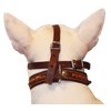 Leather Mesh Basket Secure Dog Muzzle #143 Brown - German Shepherd, Labrador, Husky, Retriever (Circumference 11.5", Snout Length 4.25")