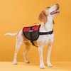 Dogline Service Dog Vest, 13 by 16-Inch, Red