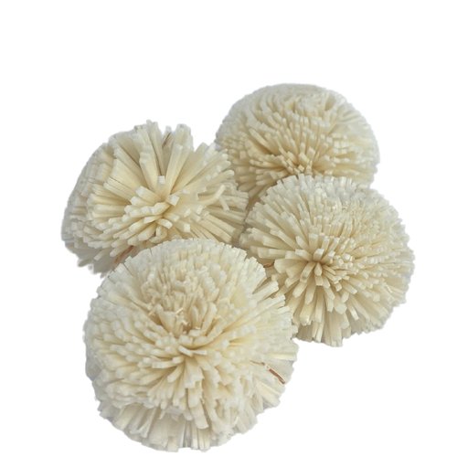 Bonka Bird Toys 3344 (Pk4) Sola Spike 2" Balls, Medium Parrot Chew Foot Talon Cage Toy, Amazon, African Grey, Pionus, and Similar