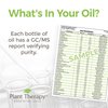 Plant Therapy Blissful Dreams Essential Oil Blend 30 mL (1 oz) 100% Pure, Undiluted, Natural Aromatherapy