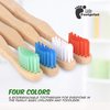 Little Footprint Kids Bamboo Toothbrushes - 12 Pack |BPA Free Soft Bristles Toothbrushes | Eco-Friendly, Natural Bamboo Toothbrush Set | Biodegradable, Compostable, Wooden Eco Friendly