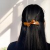 Resin Butterfly Hair Clips, Butterfly Clips, Resin Hair Bows Clips Resin Ribbon Bows for Hair Bow Clips Resin Bowknot Hair Clips Acetate Clip for Hair with Resin Bow, Resin Clip for Women