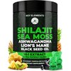 Organic Shilajit Gummies with Sea Moss Gummies - Shilajit Supplement for Immune Support - Pure Himalayan Shilajit and Ashwagandha with Sea Moss and Shilajit, Lion’s Mane Extract and Black Seed Oil