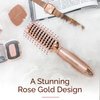 Lily England Rose Gold Plastic Vent Hair Brush for Blow Drying and Detangling Curly, Dry, Normal, Fine and Thick Hair for Women