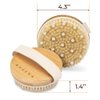 Dry Brushing Body Brush - Best for Exfoliating Dry Skin, Lymphatic Drainage and Cellulite Treatment - Organic Spa Exfoliator and Massage Scrub Brush with Natural Boar Bristles