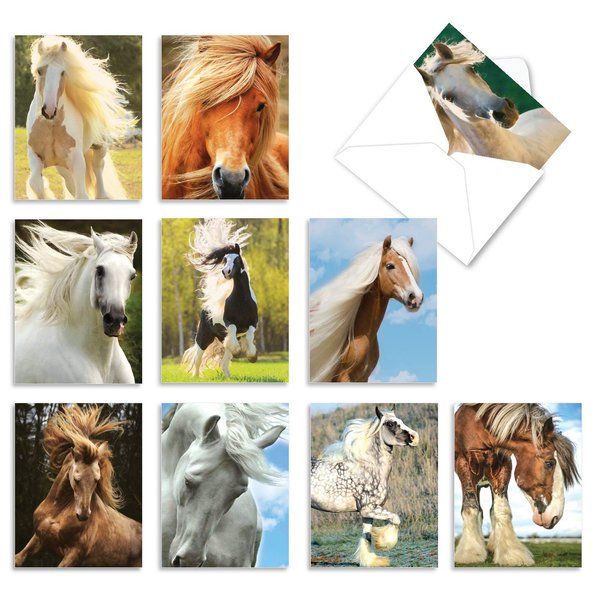 The Best Card Company - 10 Mixed Set Horse Note Cards Blank (4 x 5.12 Inch) - Wildlife, Animal Assorted Boxed Bulk Pack - Horses | Magnificent Manes M4601OCB-B1x10