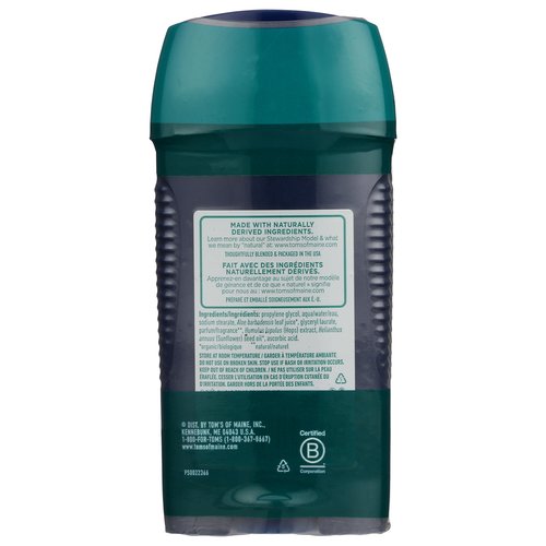 Mountain Spring Long Lasting Stick Deodorant Twin Pack