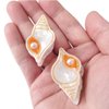 Mini Conch Hair Clip,Acetate Claw Clips,Hair Clips for Women,Pack of 2