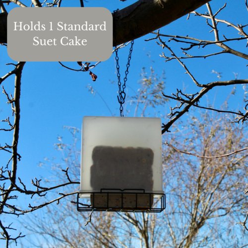 Songbird Essentials Suet Saver Upside Down Suet Feeder, Rigid Plastic Case with Suet Cage Bottom, Holds One Bird Seed Suet Cake