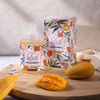 ROMIIE ZOI Foaming Hand Soap with Gift Box- Splash Mango - Biodegradable Formula Moisture & Revitalize - 500ml/ 16.8oz