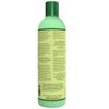 OKAY GREEN TEA NOURISHING ANTIOXIDANT RICH SHAMPOO 12oz / 355ml