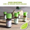 Healing Solutions Oils - 1 oz Head Ease Essential Oil Blends Organic for Diffusers, Aromatherapy - Head Ease Essential Oil Blend - Diffuser Oil - Aromatherapy Oils