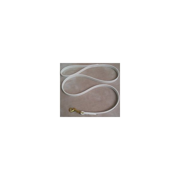 White Dog Leash 6 Foot 5/8" Wide Beta Biothane