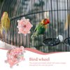 Toddmomy Bird Toys for Parakeets Colorful Parakeet Toys Wheel Interactive Pet Bird Rotating Toy for Cockatiel,Conure,Lovebirds（ ）