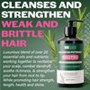 Hair Illusion Maximum Potency Biotin Hair Growth Shampoo| Infused with Rosemary & Castor Oil for Hair Loss and Thinning hair. Natural Shampoo, Sulfate Free