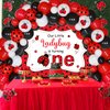 Sursurprise Ladybug First Birthday Decorations, Our Little Ladybug Is Turning One Balloon Garland Arch Kit with Backdrop for Girls Ladybug 1st Birthday Party Supplies