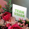 3dRose Greeting Cards - Team Vegan - pro veganism fun - green text in retro sporty college sports font on white - 6 Pack - Typography